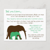 Fun Facts About Elephants