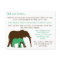 Fun Facts About Elephants