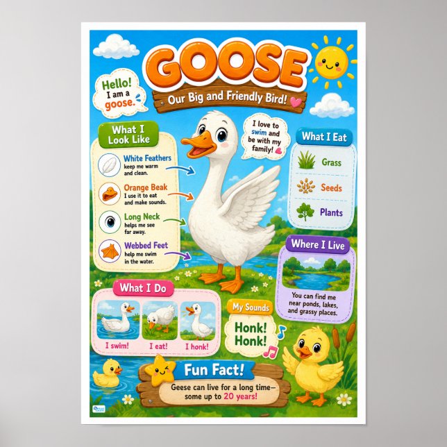 Fun Facts About Goose For Kids Poster (Front)