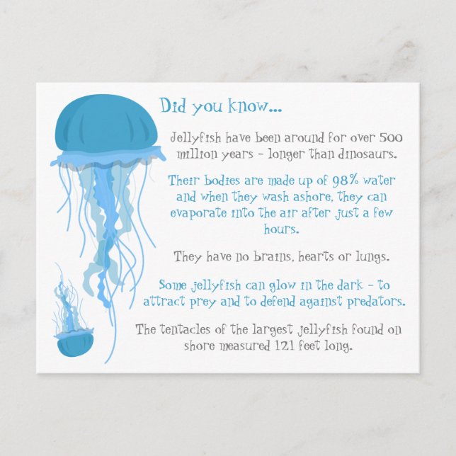 Fun Facts About Jellyfish Postcard (Front)