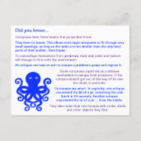 Fun Facts About Octopuses