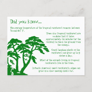 Fun Facts About the Rainforest Postcard
