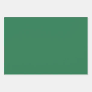 Fun Festive Modern Chic Solid Green Wrapping Paper Sheet