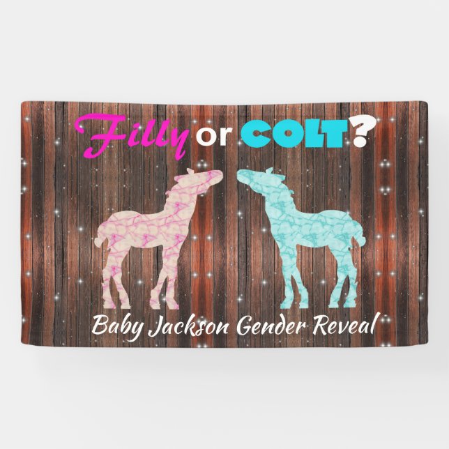 Fun "Filly or Colt" Gender Reveal Banner (Horizontal)
