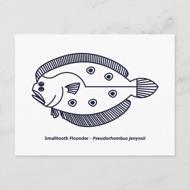 Fun Flounder Fish in Deepest Blue and White Postcard (Front)