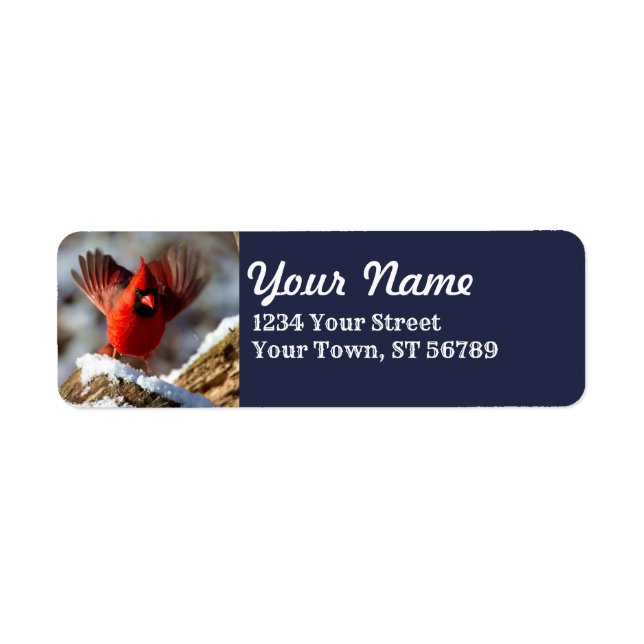 Fun Fluffing Cardinal Script Font Address Labels (Front)