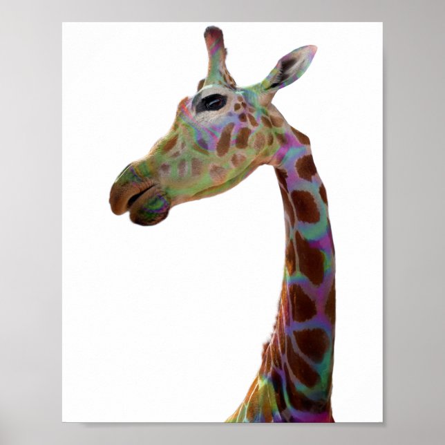 Fun funky colourful Giraffe   Poster (Front)