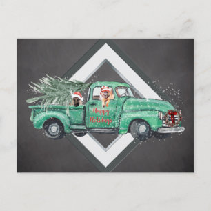 Fun German Shepherds in Vintage Truck Holiday Postcard