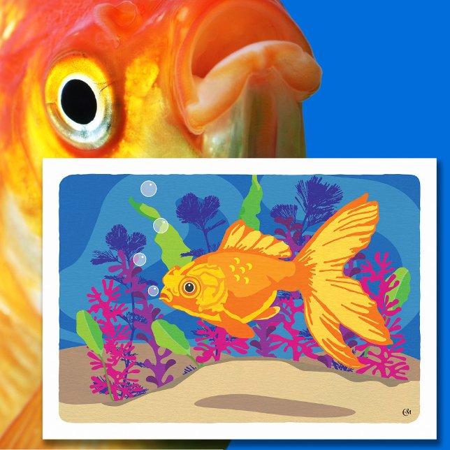 Fun Goldfish Aquarium Blank Card (Creator Uploaded)
