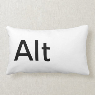 Fun Google Apple Mac Facebook Squidoo Ebay Skype Lumbar Cushion