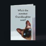 Fun Granddaughter  Birthday Wishes Siamese Cat Card<br><div class="desc">Funny Granddaughter Birthday Wishes Siamese Cat Animal Humour you up.   Perfect for that Granddaughter in your life with a sense of humour,  a love of cats and a birthday</div>