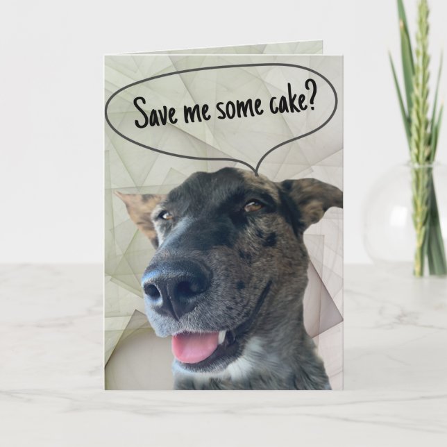 Fun Grey Brindle Cattle Dog Photograph  Card (Front)