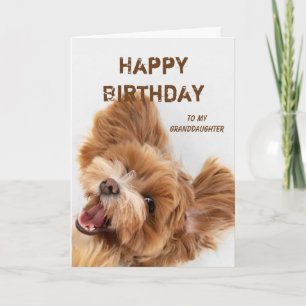 Fun Happy Birthday Granddaughter Cute Dog Puppy Holiday Card