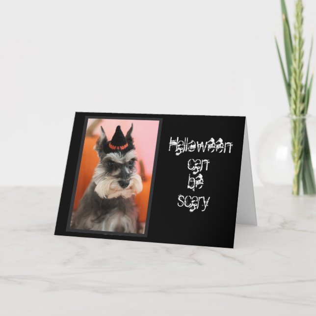 Fun Happy Halloween Cute Schnauzer Dog Card (Front)