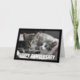 Fun Heart to Heart Couple Anniversary Cat Animal Card