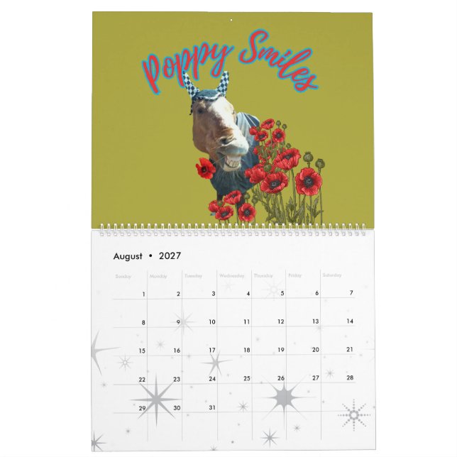 fun horse illustrations from my stories calendar (Aug 2027)