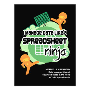 Fun I Manage Data SPREADSHEET NINJA Photo Print