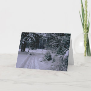 Fun In The Forest Greetings Card