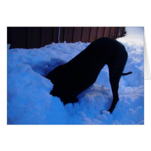 Fun in the snow