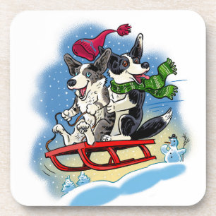 Fun in the snow coaster
