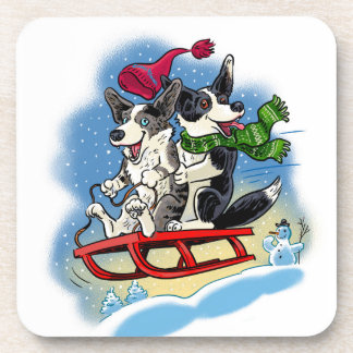Fun in the snow coaster