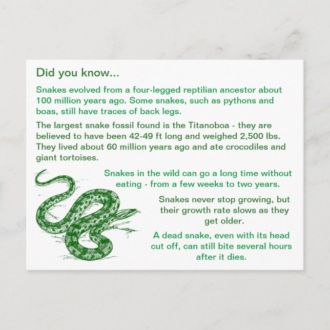 Fun & Interesting Snake Facts Postcard (Front)