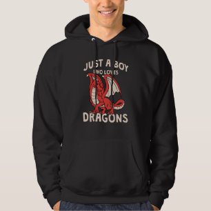 Fun Just a Boy who Loves Dragons Toddlers Tweens T Hoodie