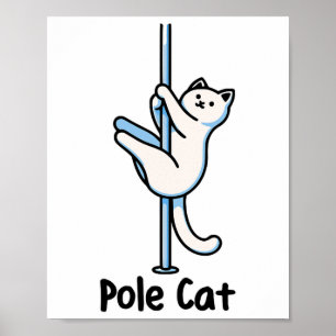 Fun Kitty Lover Humour Cat Playing A Dancer Gag Un Poster