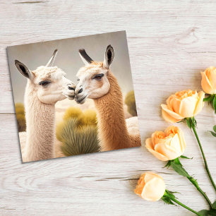 Fun Lamas Kissing Thank you Congrats
