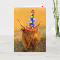 Fun Loving Scottish Highland Steer Birthday
