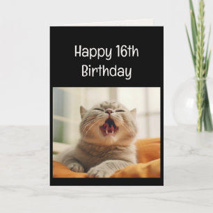 Fun Meowing Kitten 16th Birthday Animal Humour Card