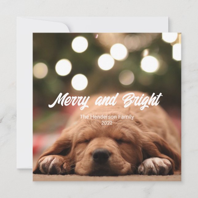 Fun Merry and Bright Photo Christmas Card (Front)