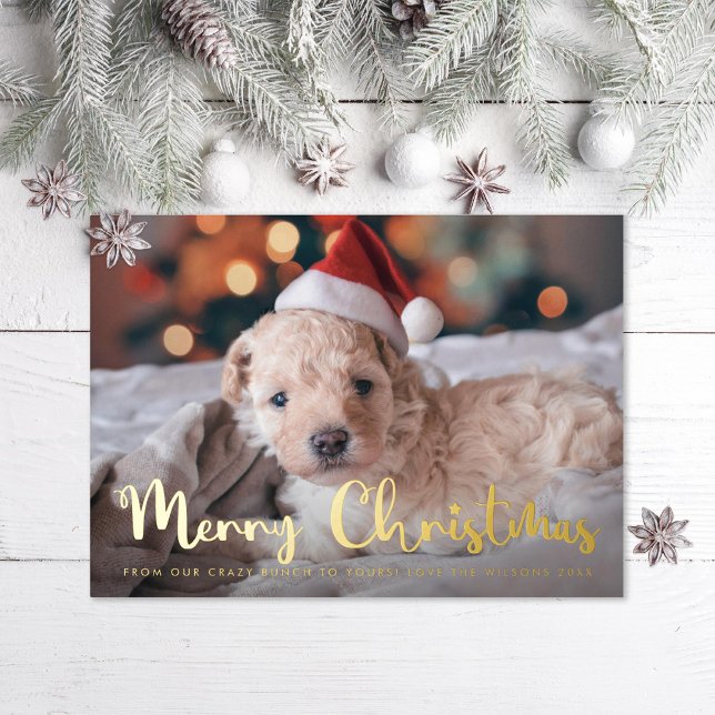 Fun Merry Christmas Pet Photo (Creator Uploaded)