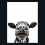 Fun Modern Black White Cow Rustic Farmhouse  Poster<br><div class="desc">This design may be personalised by choosing the Edit Design option. You may also transfer onto other items. Contact me at colorflowcreations@gmail.com or use the chat option at the top of the page if you wish to have this design on another product or need assistance. See more of my designs...</div>
