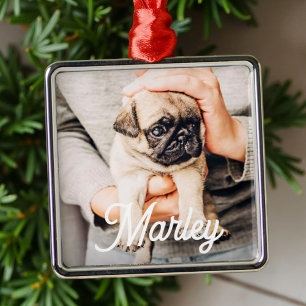 Fun Modern Simple Custom Pet Photo Keepsake Metal Tree Decoration
