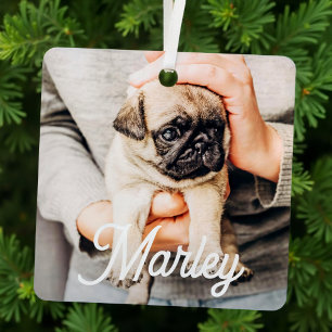 Fun Modern Simple Custom Pet Photo Keepsake Metal Tree Decoration