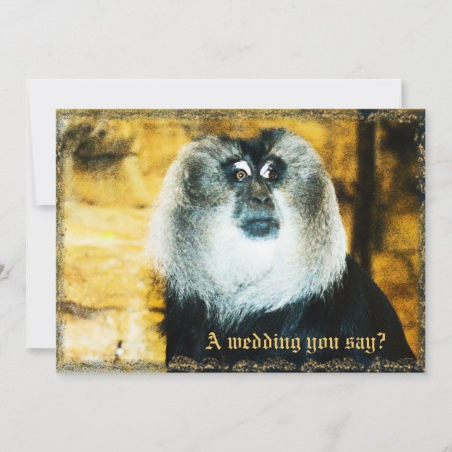 Fun Monkey Photo Zoo Wedding Invitations (Front)