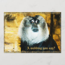 Fun Monkey Photo Zoo Wedding Invitations