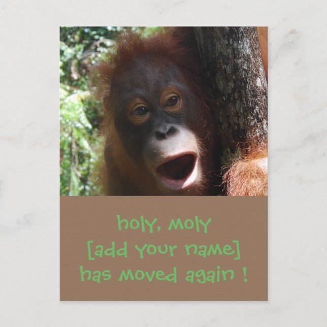 Fun Moving Change New Address Announcement (Front)