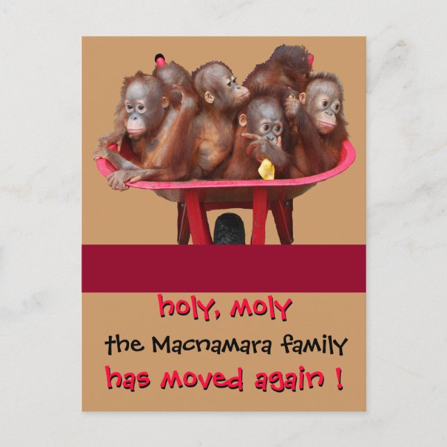 Fun Moving New Address Announcement Postcard (Front)