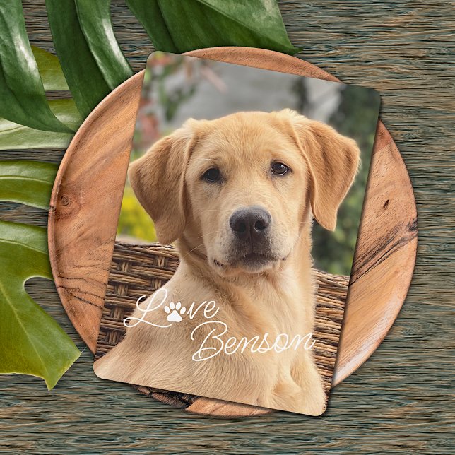 Fun My Best Friend Picture Love Paw Print Card (Creator Uploaded)