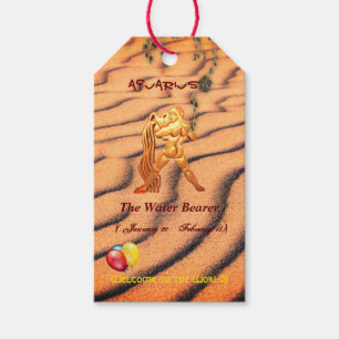 Fun 'New Baby' Aquarius  Gift Tags
