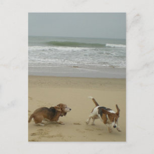 Fun on the beach postcard