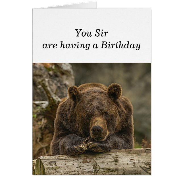 Fun Over the Hill Serious Looking Grizzly Bear (Front)