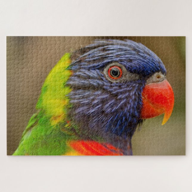 Fun Parrot Colourful Difficult 1,000 Pieces Jigsaw Puzzle (Horizontal)