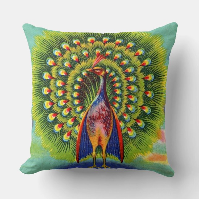fun peacock print cushion (Front)