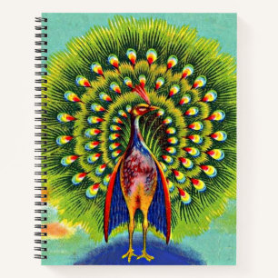 fun peacock print notebook