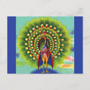 fun peacock print postcard