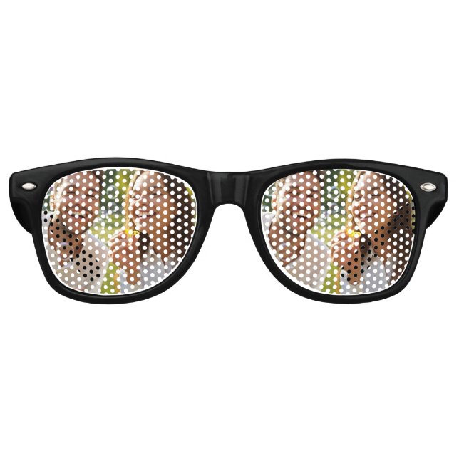 Fun Pic Retro Sunglasses (Front)