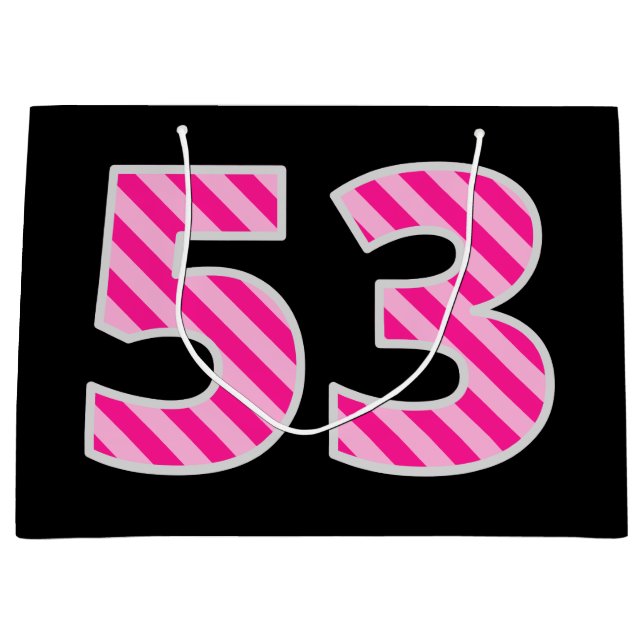 Fun Pink Striped "53"; Happy 53rd Birthday; Name Large Gift Bag (Front)